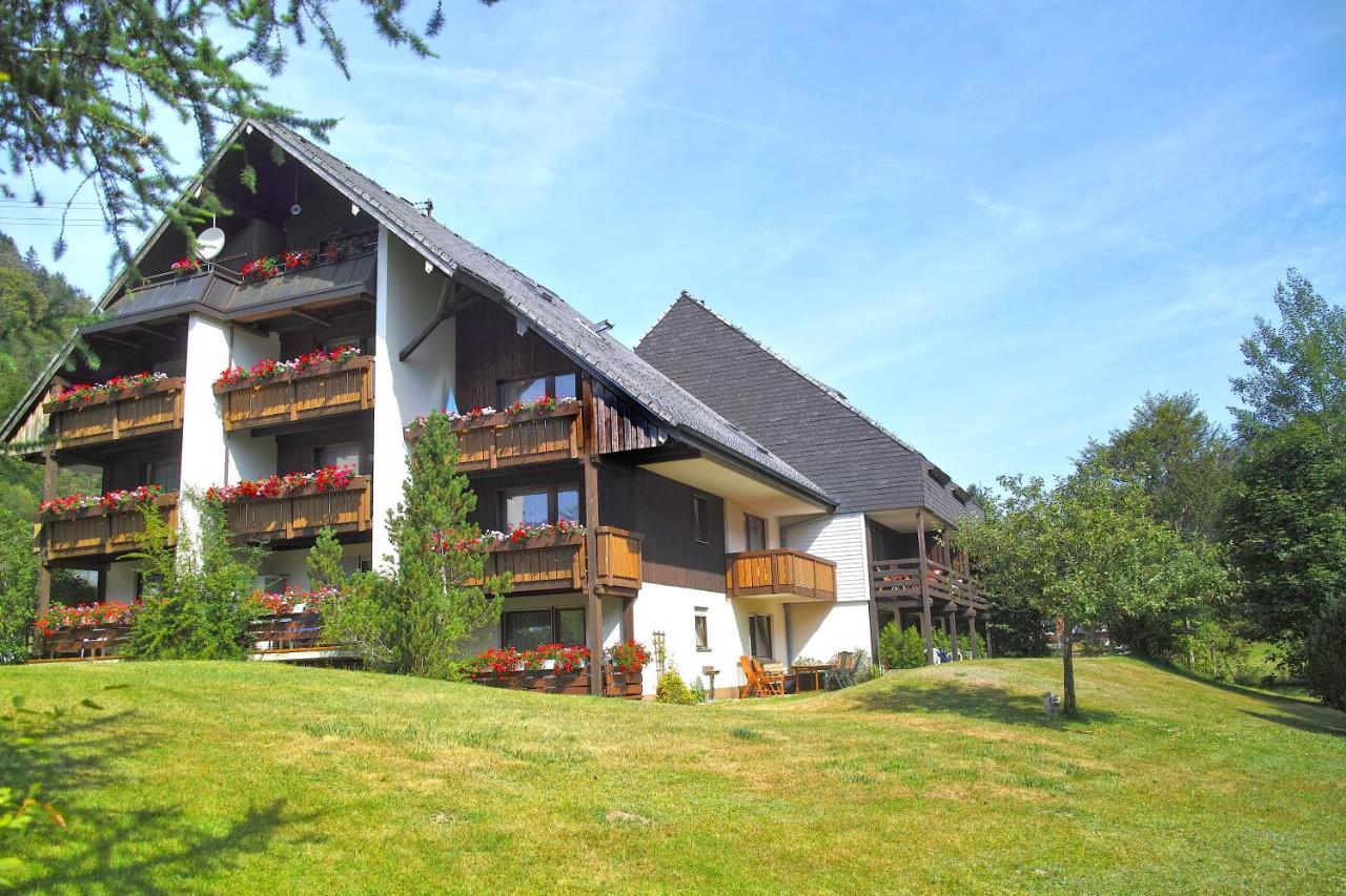 C3 Albmatte-Fewo Sauna, Hallenbad Aussenbecken Massagen Nebenan St. Blasien Exterior photo