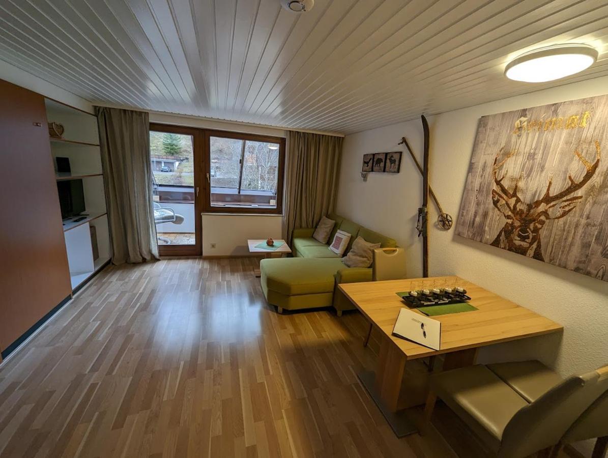 C3 Albmatte-Fewo Sauna, Hallenbad Aussenbecken Massagen Nebenan St. Blasien Exterior photo