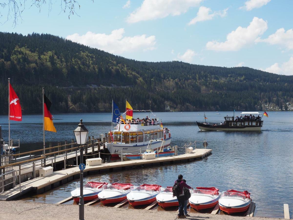 C3 Albmatte-Fewo Sauna, Hallenbad Aussenbecken Massagen Nebenan St. Blasien Exterior photo