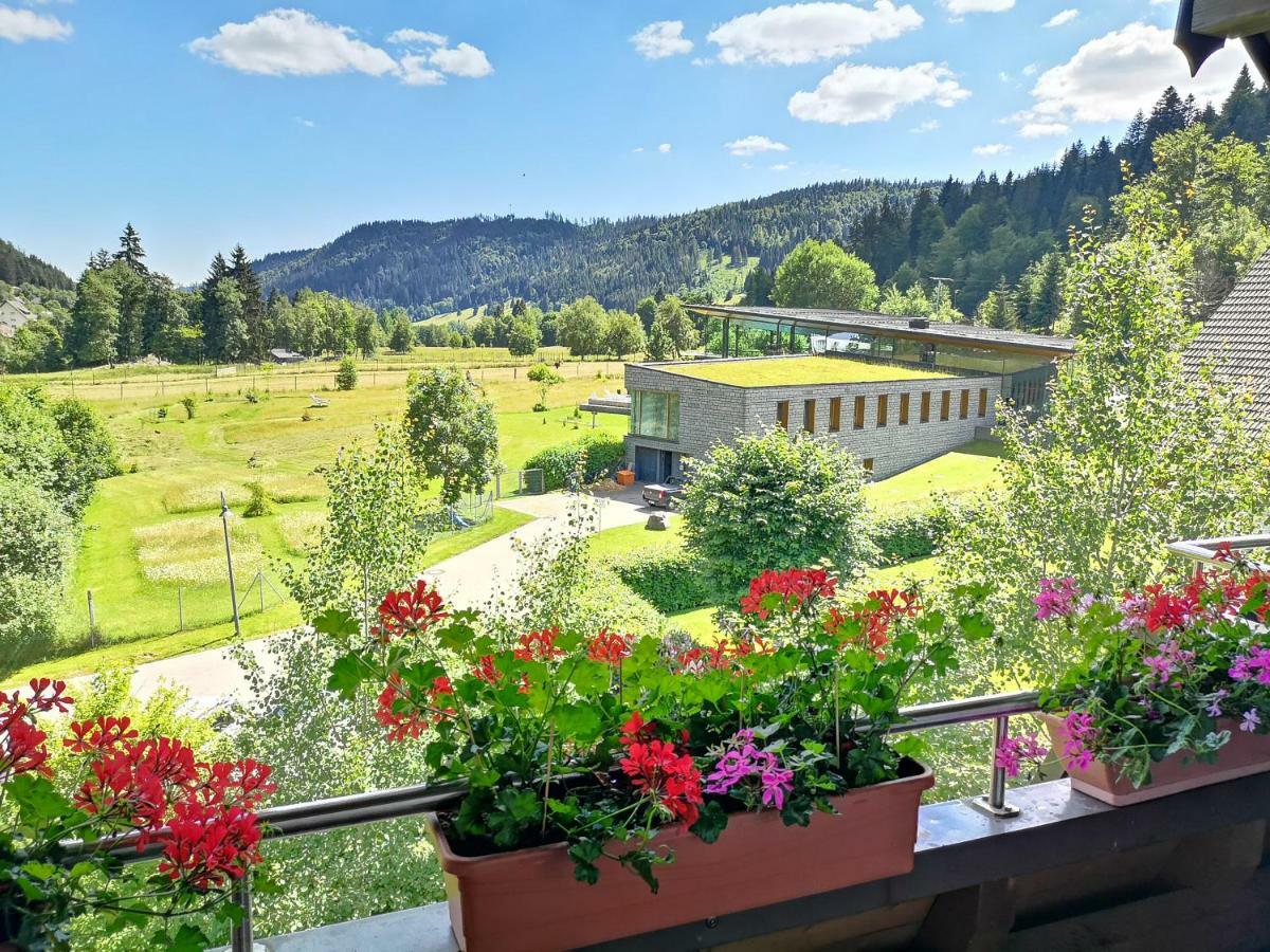 C3 Albmatte-Fewo Sauna, Hallenbad Aussenbecken Massagen Nebenan St. Blasien Exterior photo